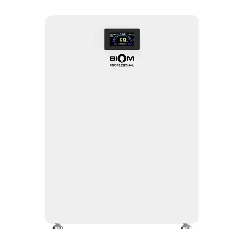 Акумулятор BIOM Professional BALFP-512100-V1