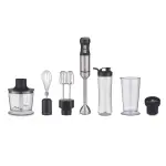 Блендер занурювальний з подрібнювачем Zelmer ZHB4753