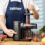 Соковыжималка Zelmer ZJP3900 - фото № 7 Соковыжималка Zelmer ZJP3900 - фото № 7