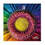 Весы напольные электронные 180кг Monte MT 6011-8