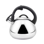 Чайник со свистком для всех видов плит 3л Con Brio CB-415