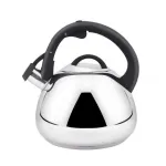 Чайник со свистком для всех видов плит 3л Con Brio CB-415